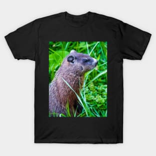 Groundhog in the Grass Photograph T-Shirt